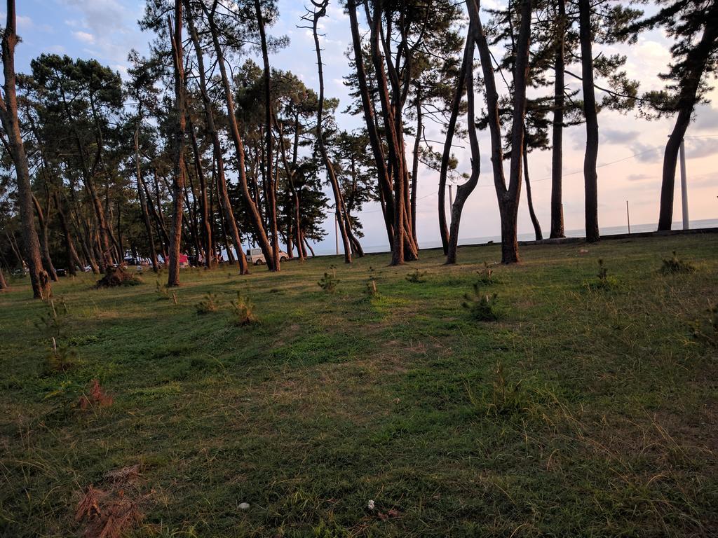 Kobuleti Pines Resort Εξωτερικό φωτογραφία